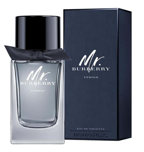 burberry indigo douglas|mr burberry indigo cologne reviews.